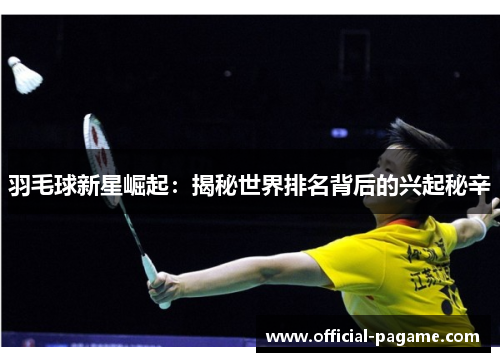 羽毛球新星崛起：揭秘世界排名背后的兴起秘辛