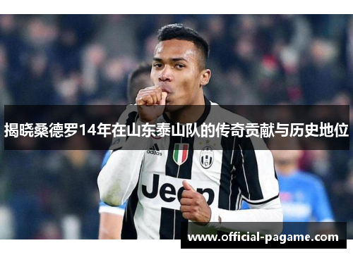 揭晓桑德罗14年在山东泰山队的传奇贡献与历史地位