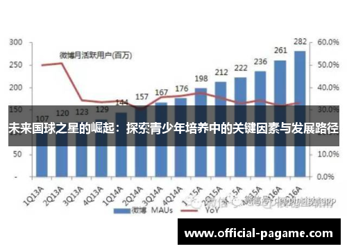 未来国球之星的崛起：探索青少年培养中的关键因素与发展路径