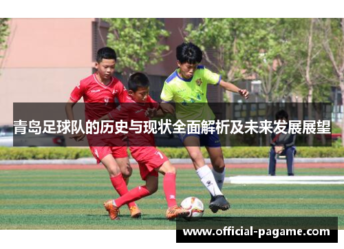 青岛足球队的历史与现状全面解析及未来发展展望