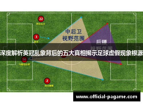 深度解析英冠乱象背后的五大真相揭示足球虚假现象根源