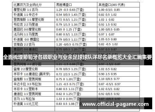 全面梳理葡萄牙各级职业与业余足球球队详尽名录概览大全汇编集要