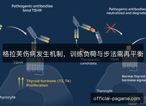 格拉芙伤病发生机制，训练负荷与步法需再平衡
